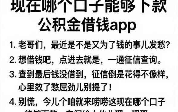 现在哪个口子能够下款,理出5个公积金借钱app