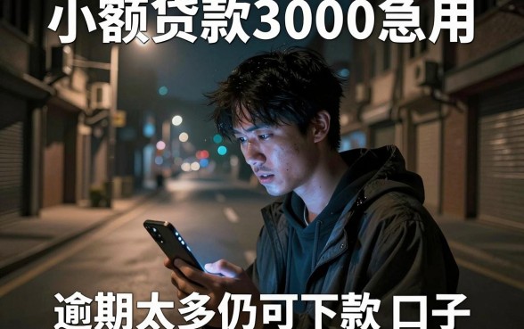 小额贷款3000急用，概括五个逾期太多仍可下款的口子