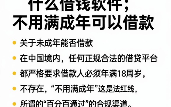 什么借钱软件不用满成年可以借款,整理五个能百分百通过的网贷软件