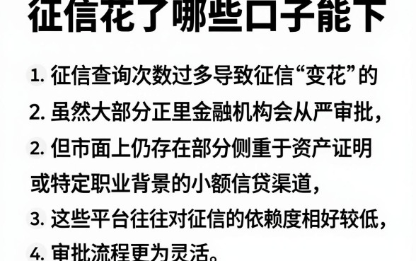 征信花了哪些口子能下,概括五个小额贷款不查征信的口子