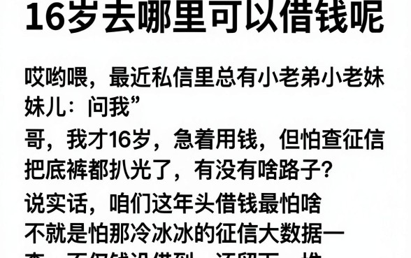16岁去哪里可以借钱呢,深入剖析五个手机可以临时借钱的软件