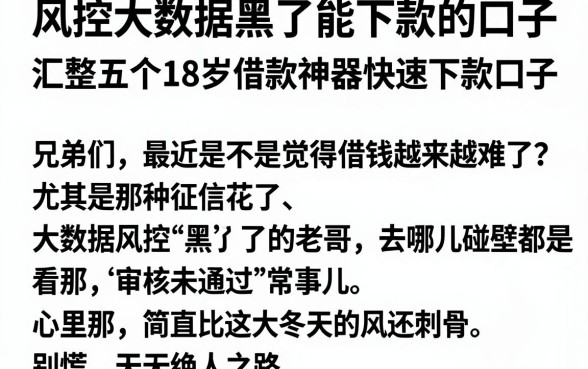 风控大数据黑了能下款的口子,汇整五个18岁借款神器快速下款口子