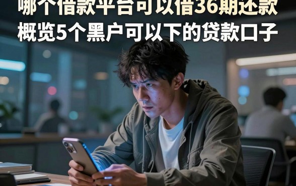 哪个借款平台可以借36期还款,概览5个黑户可以下的贷款口子