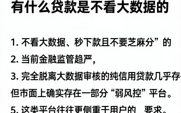 有什么贷款是不看大数据的,罗列5个金融创新秒下不要芝麻分的平台