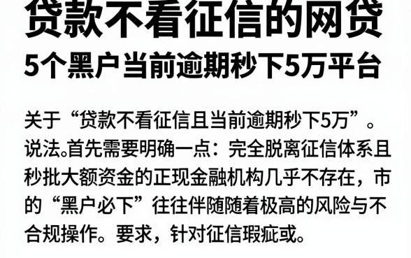 贷款不看征信的网贷，深入剖析5个黑户当前逾期秒下5万平台