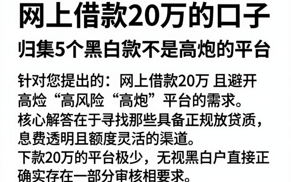 网上借款20万的口子,归集5个黑白贷款不是高炮的平台