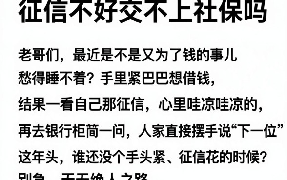 征信不好交不上社保吗，整合五个黑户好下款的平台