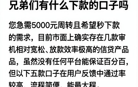 兄弟们有什么下款的口子吗,细致阐述五个5000块贷款秒下app