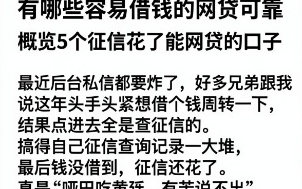 有哪些容易借钱的网贷可靠,概览5个征信花了能网贷的口子