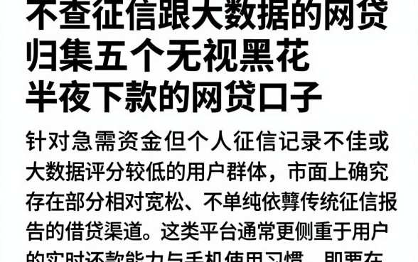 不查征信跟大数据的网贷,归集五个无视黑花半夜下款的网贷口子