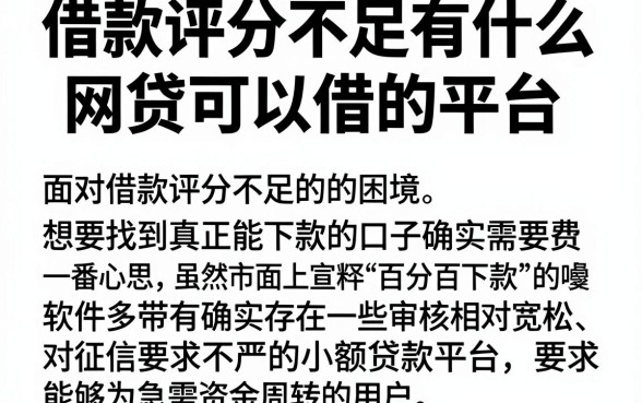 借款评分不足有什么网贷可以借的平台,倾情分享五个不看征信无视黑白百分百下款软件