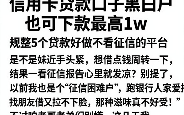 信用卡贷款口子黑白户也可下款最高1w,规整5个贷款好做不看征信的平台