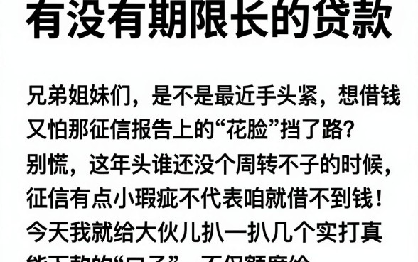 有没有期限长的贷款,详尽说明五个黑户能下款的平台