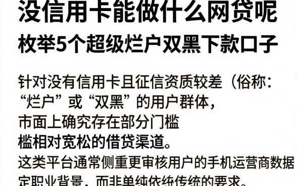 没信用卡能做什么网贷呢,枚举5个超级烂户双黑下款口子