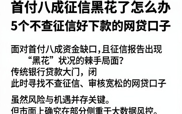 首付八成征信黑花了怎么办，深入剖析5个不查征信好下款的网贷口子