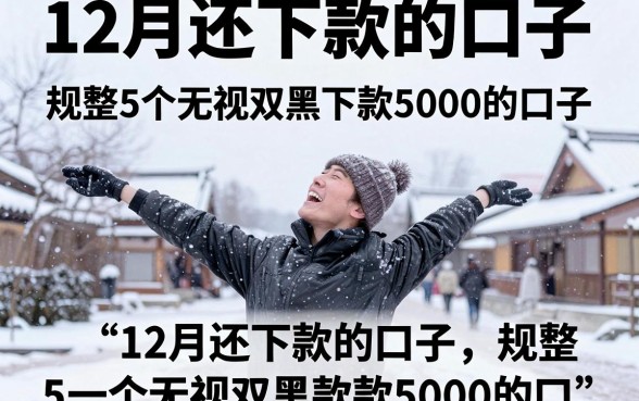 12月还下款的口子，规整5个无视双黑下款5000的口子