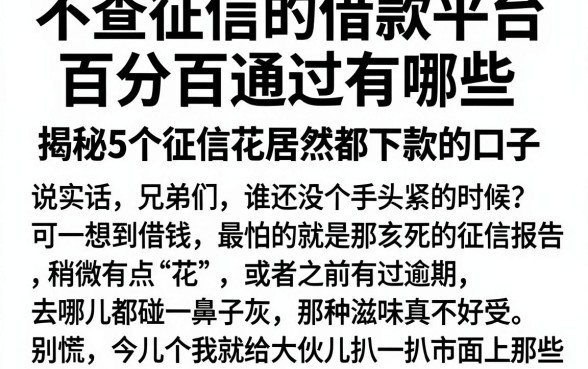 不查征信的借款平台百分百通过有哪些,揭秘5个征信花居然都下款的口子