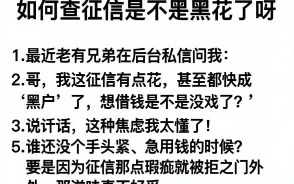 如何查征信是不是黑花了呀，罗列五个审贷口子审核加快的软件