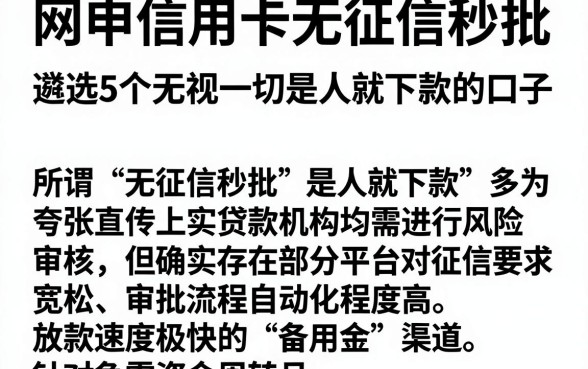 网申信用卡无征信秒批,遴选5个无视一切是人就下款的口子