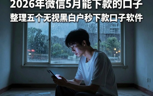 2026年微信5月能下款的口子,整理五个无视黑白户秒下款口子软件