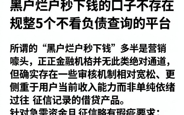 黑户烂户秒下钱的口子不存在,规整5个不看负债查询的平台