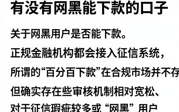 有没有网黑能下款的口子,遴选五个无视黑白百分百下款的借款app