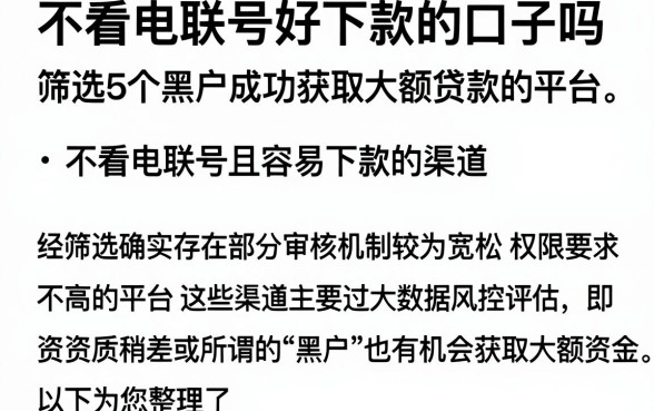 不看电联号好下款的口子吗,筛选5个黑户成功获取大额贷款的平台