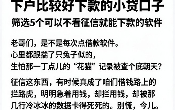 下户比较好下款的小贷口子,筛选5个可以不看征信就能下款的软件