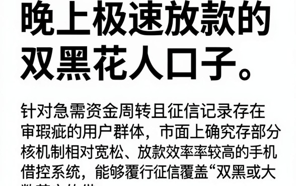 晚上极速放款的双黑花口子,规整五个手机小额黑户快速贷款软件