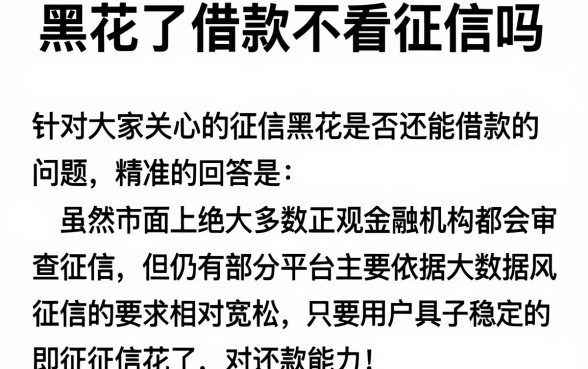 黑花了借款不看征信吗,概括五个黑白贷款不是高炮的口子