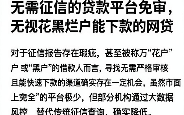 无需征信的贷款平台免审,揭秘5个无视花黑烂户能下款的网贷