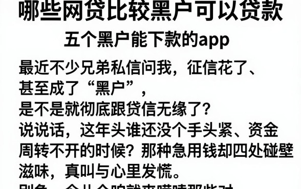 哪些网贷比较黑户可以贷款,概括五个黑户能下款的app