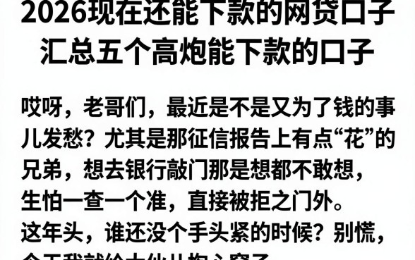 2026现在还能下款的网贷口子，汇总五个高炮能下款的口子