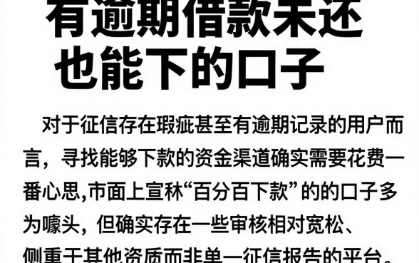 有逾期借款未还也能下的口子,概括五个苏州黑户贷款5万的软件