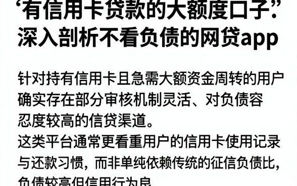 有信用卡贷款的大额度口子，深入剖析五个不看负债的网贷app