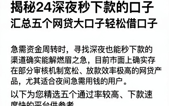 揭秘24深夜秒下款的口子,汇总五个网贷大口子轻松借口子