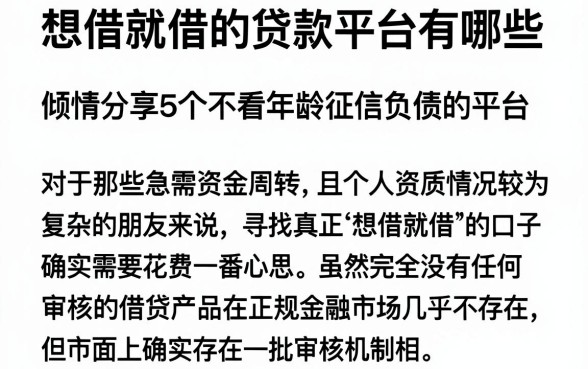 想借就借的贷款平台有哪些,倾情分享5个不看年龄征信负债的平台