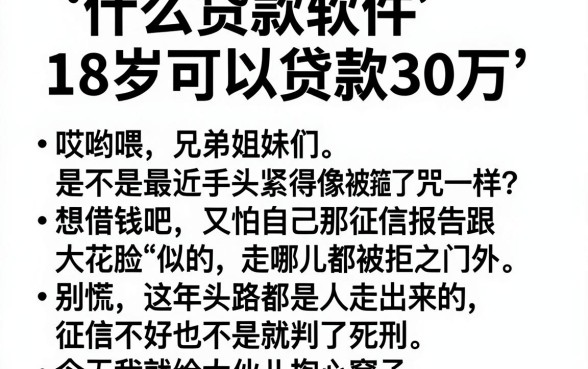 什么贷款软件18岁可以贷款30万,概览五个轻松借款无压力app