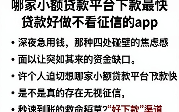 哪家小额贷款平台下款最快,详细阐述五个贷款好做不看征信的app