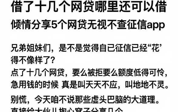 借了十几个网贷哪里还可以借，倾情分享5个网贷无视不查征信app