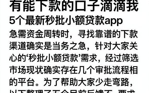 有能下款的口子滴滴我，详尽说明5个最新秒批小额贷款app