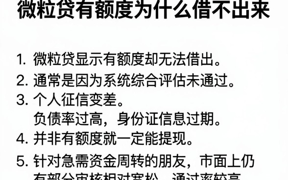 微粒贷有额度为什么借不出来,细致阐述5个黑户0门槛贷款平台