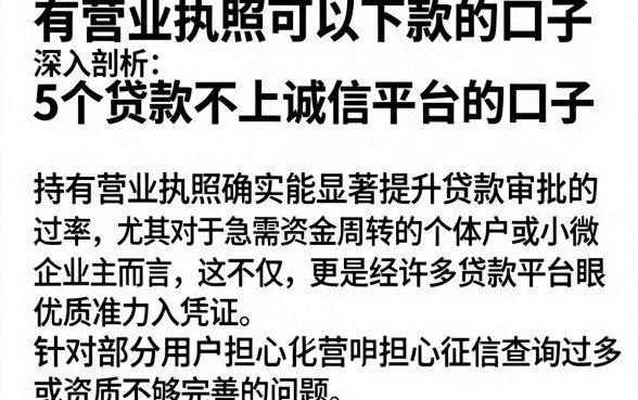 有营业执照可以下款的口子,深入剖析5个贷款不上诚信平台的口子