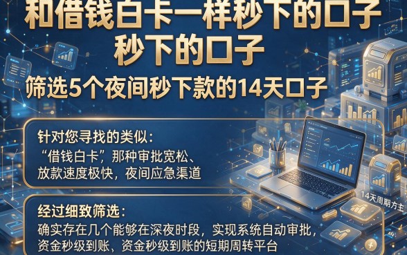 和借钱白卡一样秒下的口子,筛选5个夜间秒下款的14天口子