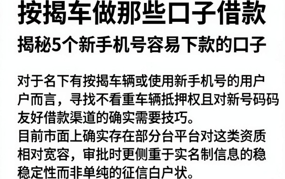 按揭车做那些口子借款，揭秘5个新手机号容易下款的口子