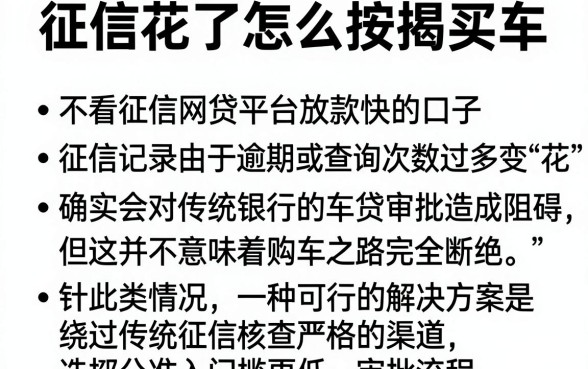 征信花了怎么按揭买车,条列5个不看征信网贷平台放款快的口子