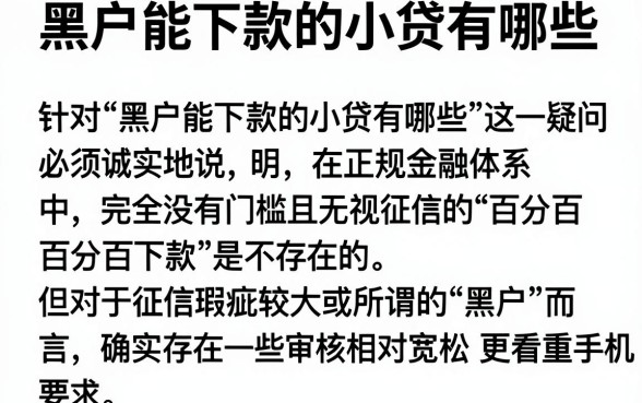黑户能下款的小贷有哪些,概览5个新手机号容易下款的软件