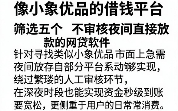 像小象优品的借钱平台,筛选五个不审核夜间直接放款的网贷软件