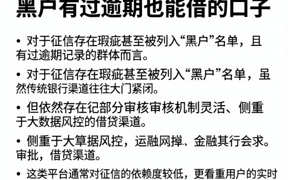 黑户有过逾期也能借的口子,细致阐述五个闪电审批的软件