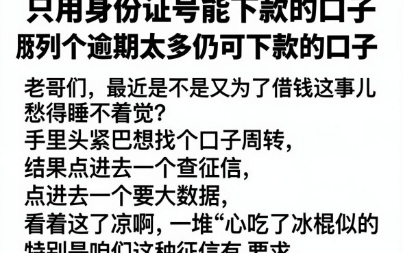 只用身份证号能下款的口子，胪列五个逾期太多仍可下款的口子